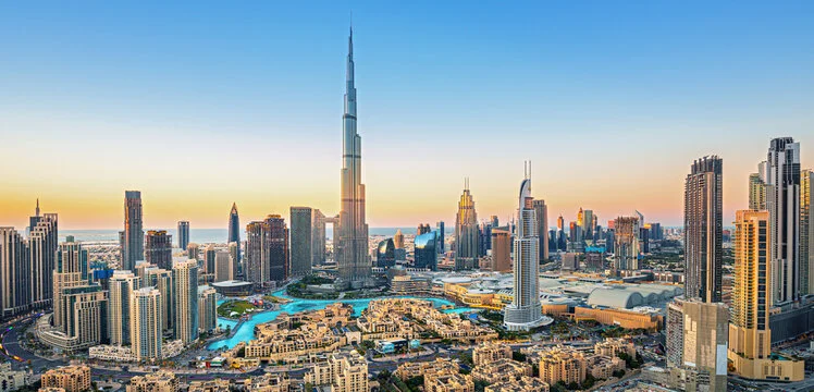 Veloxis Intelligence — Middle East